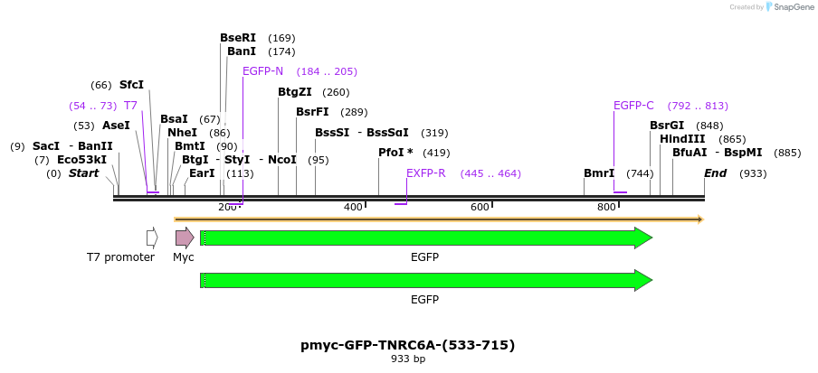 59902_map