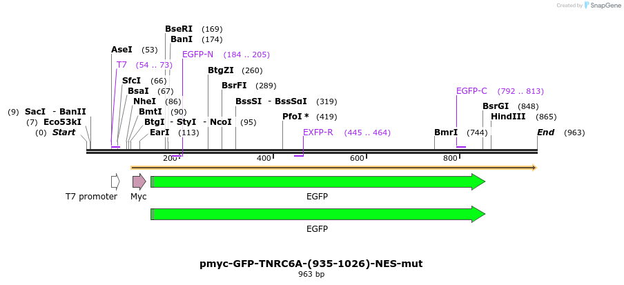 59907_map