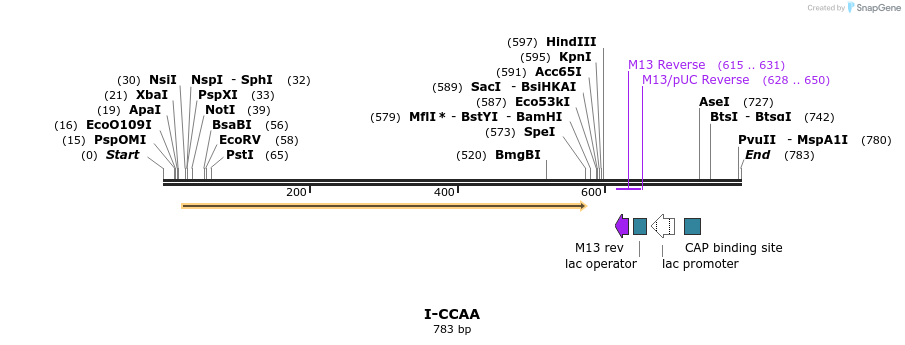 59919_map