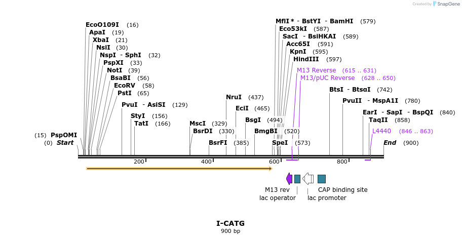 59921_map