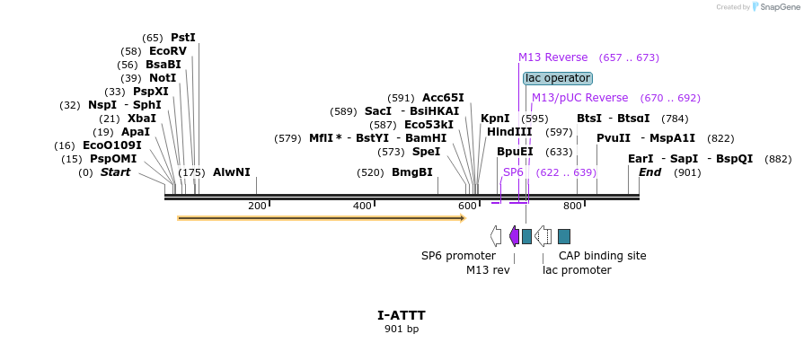 59935_map
