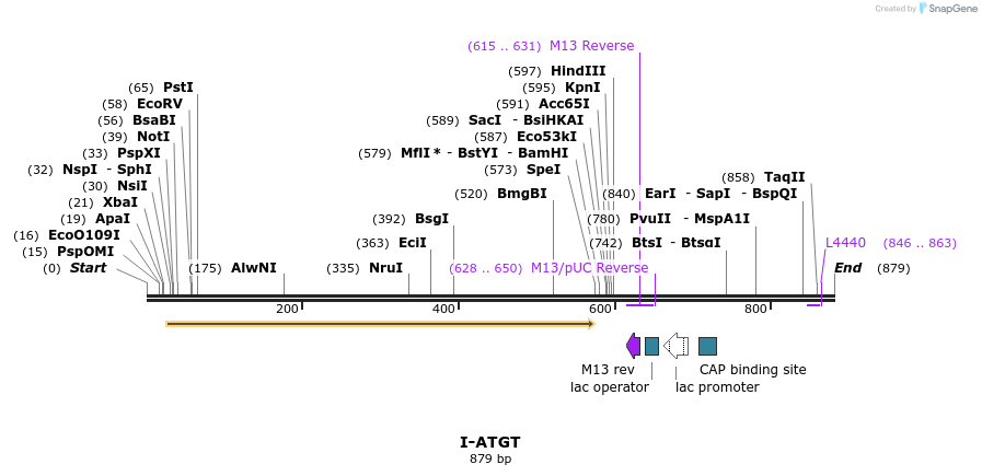 59939_map