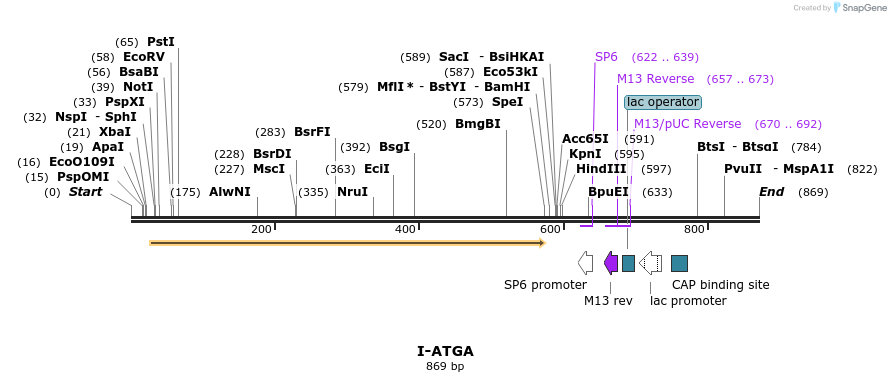 59942_map