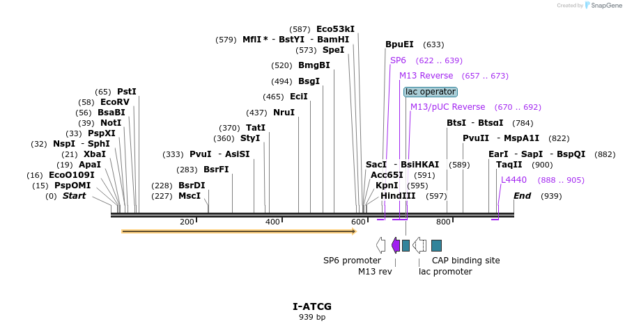 59944_map