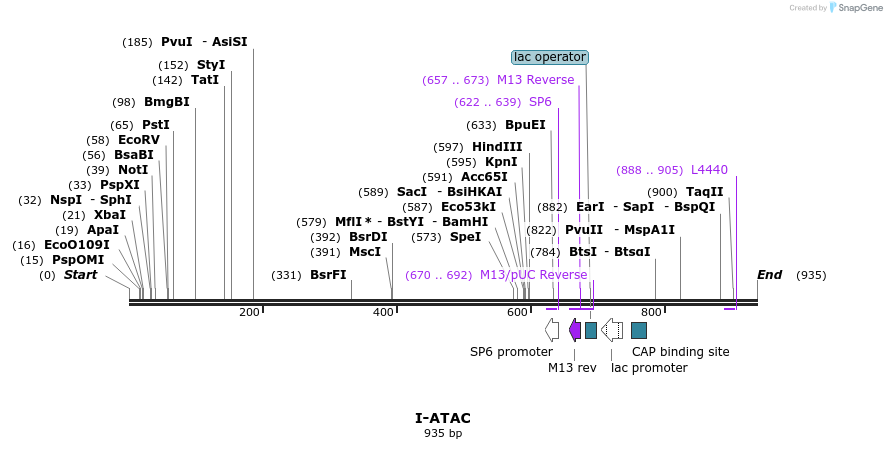 59949_map