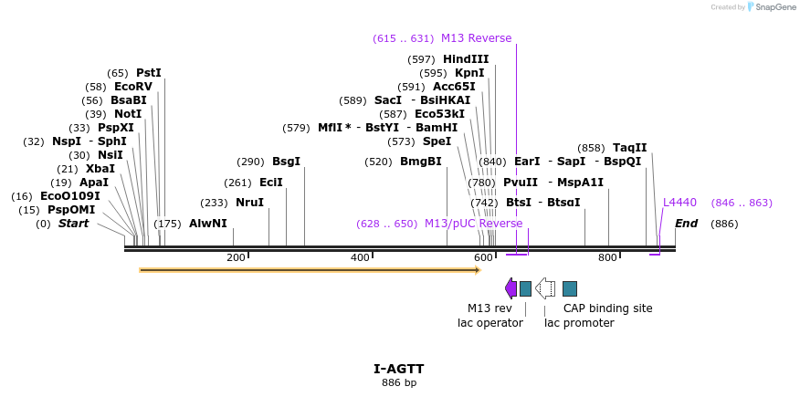 59951_map