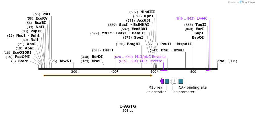 59952_map