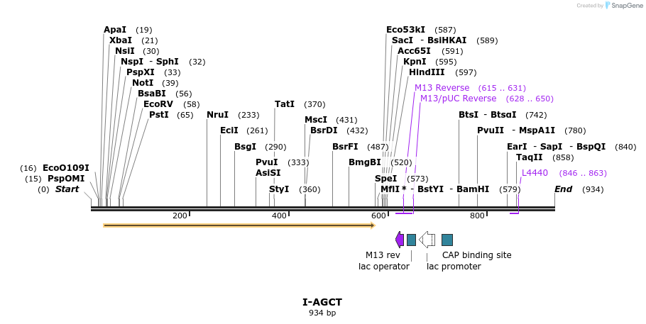 59959_map