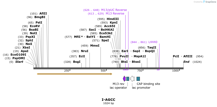 59961_map