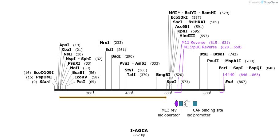 59962_map