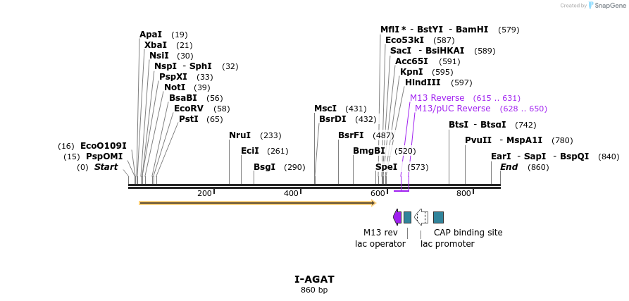 59964_map