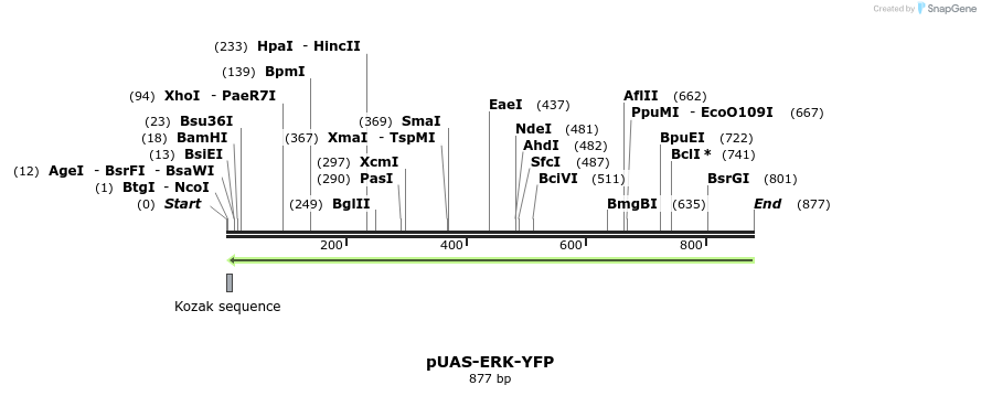 59967_map