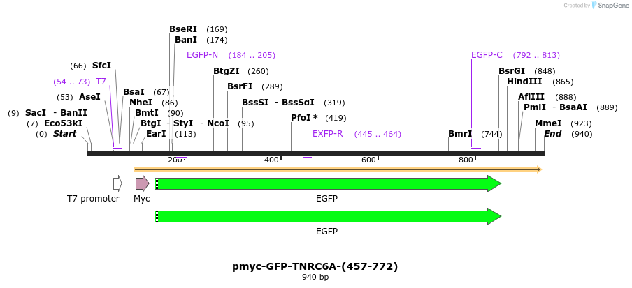 59979_map