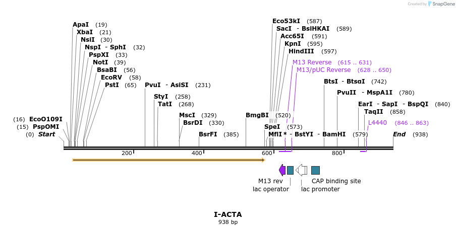 59980_map