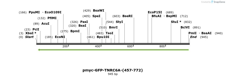 59981_map