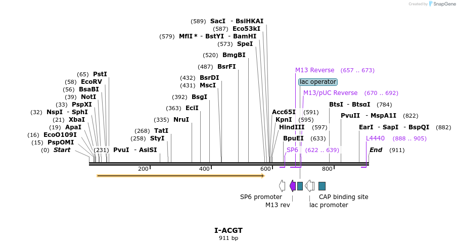59982_map