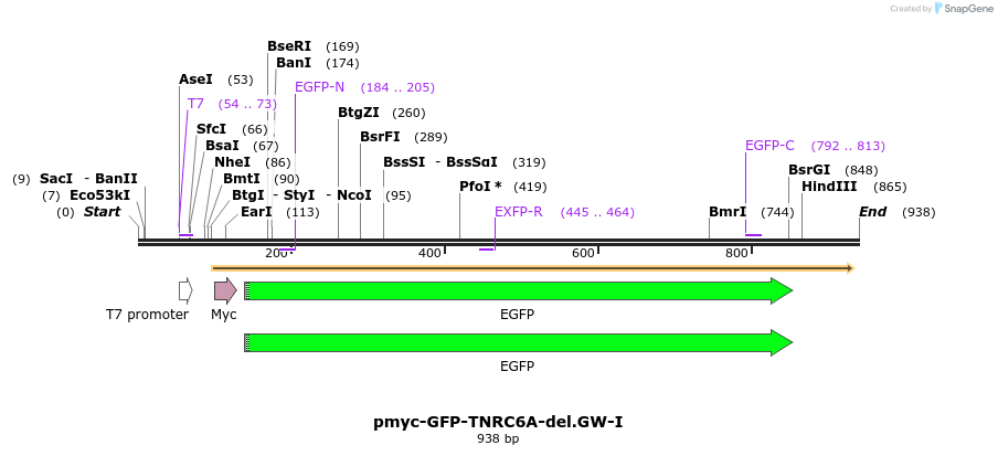 59986_map