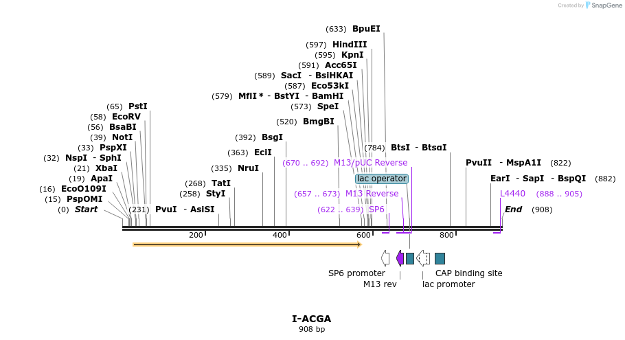 59987_map