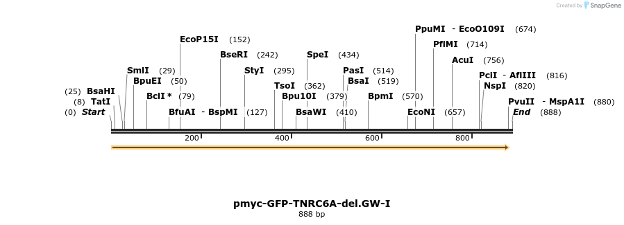 59988_map