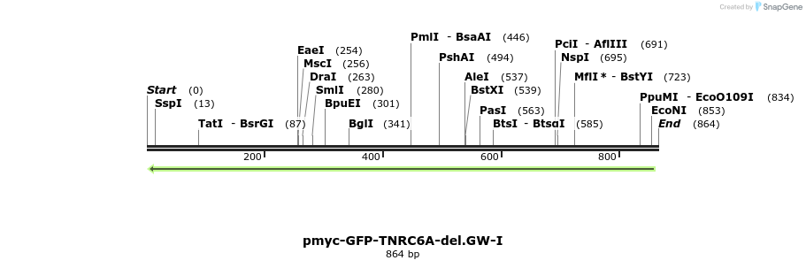 59989_map