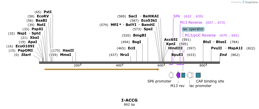 59992_map