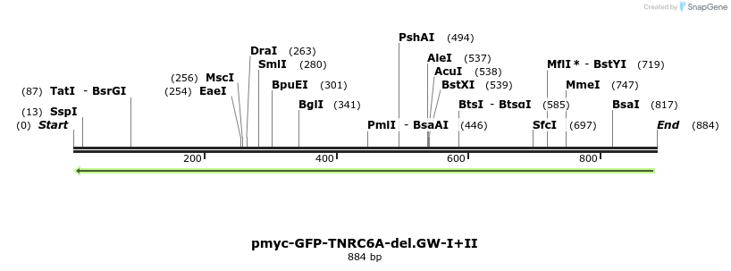 59993_map