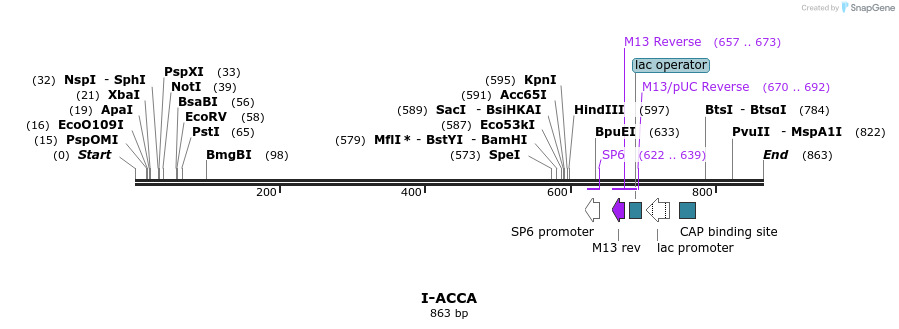 59997_map