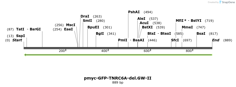 60001_map