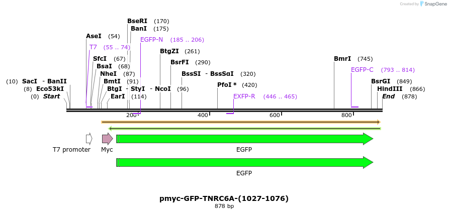 60006_map