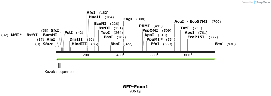 60007_map