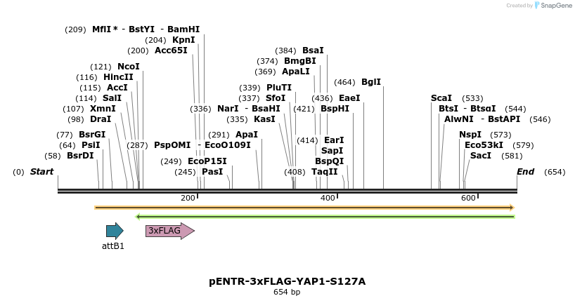 60008_map