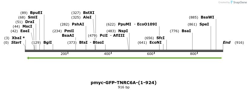 60012_map