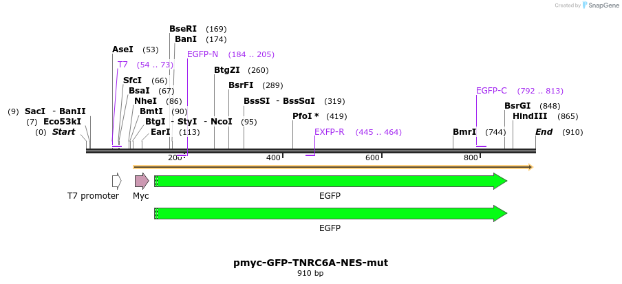 60013_map