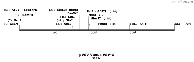 60016_map