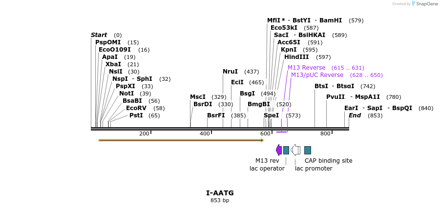 60020_map