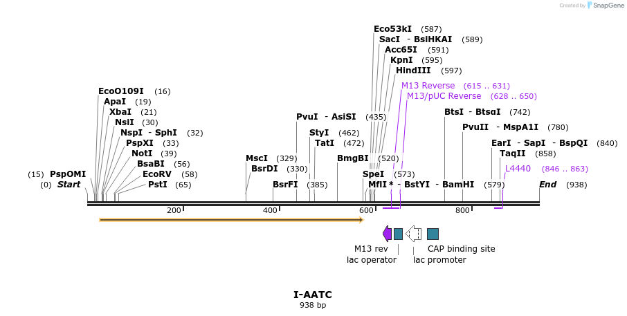 60021_map