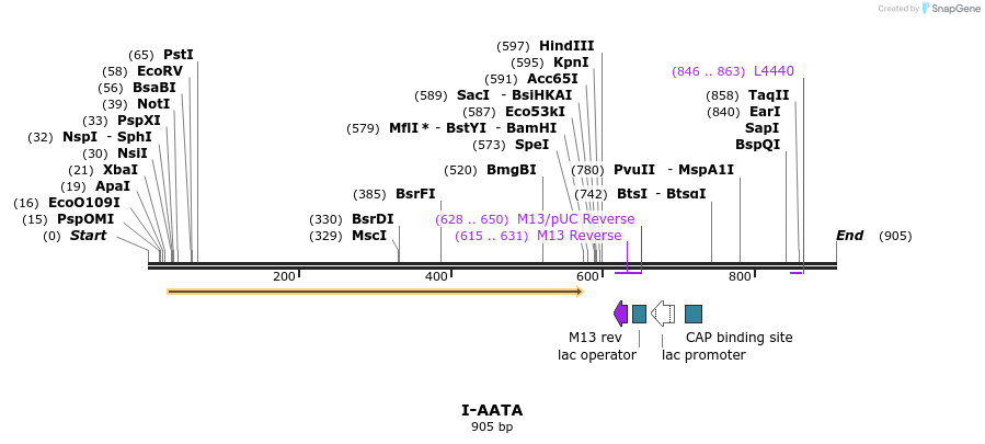 60022_map
