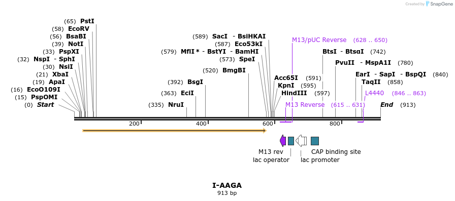 60026_map