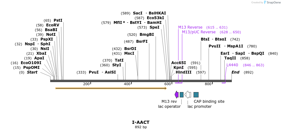 60027_map