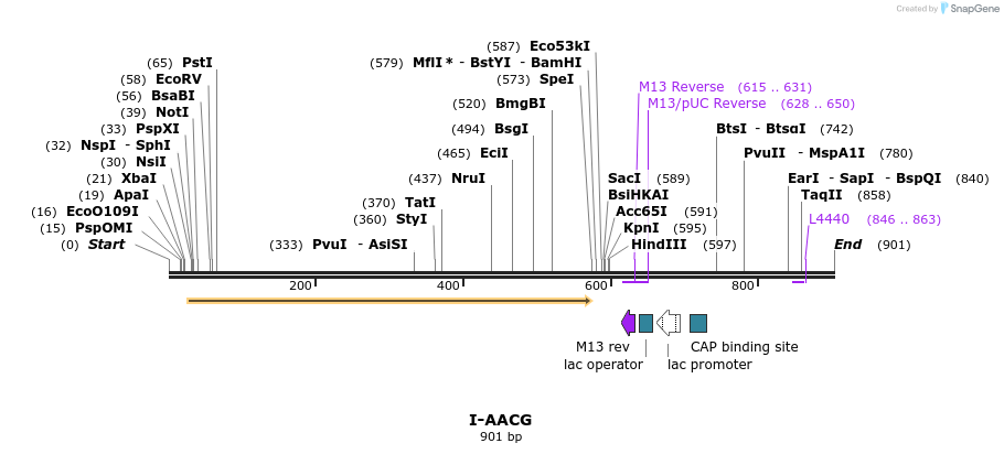 60028_map