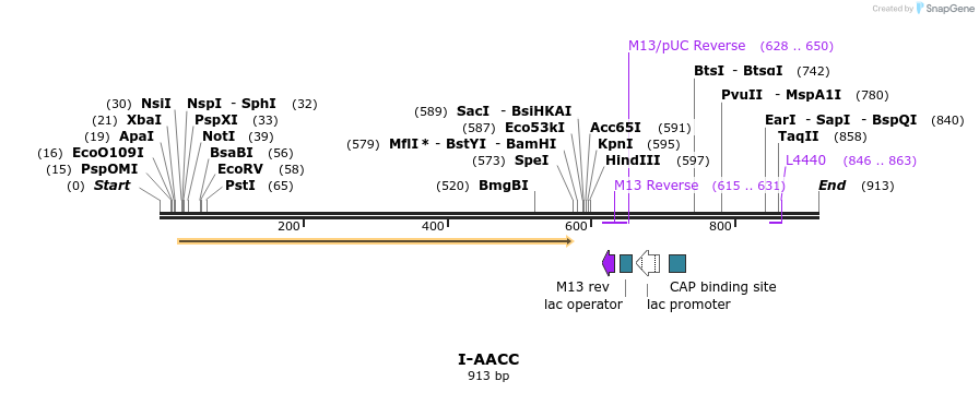 60029_map