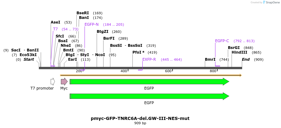 60030_map