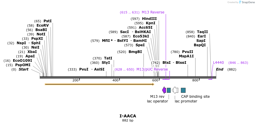 60031_map