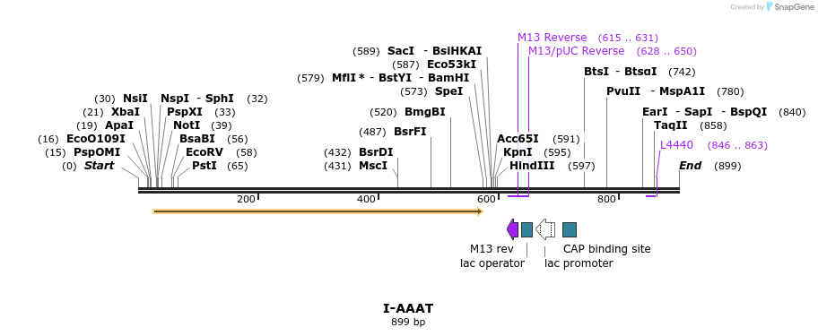 60032_map