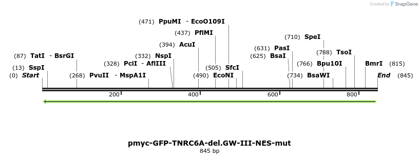 60033_map