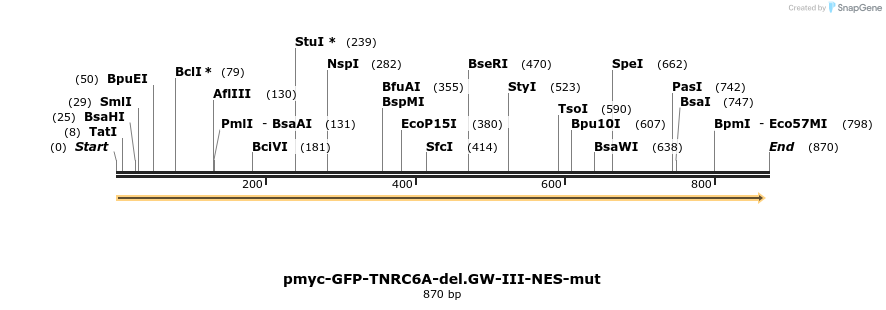 60034_map