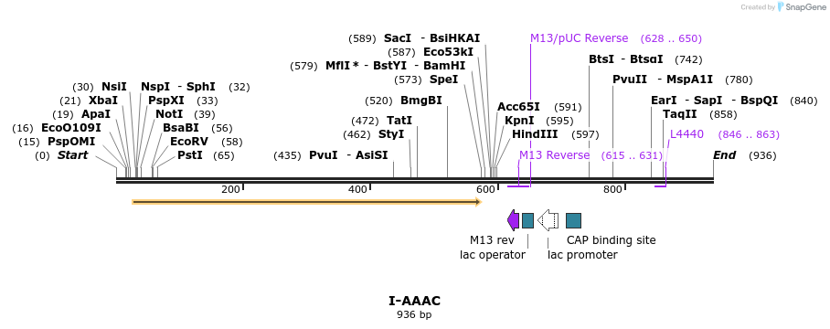 60036_map