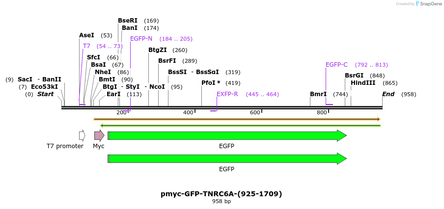 60037_map