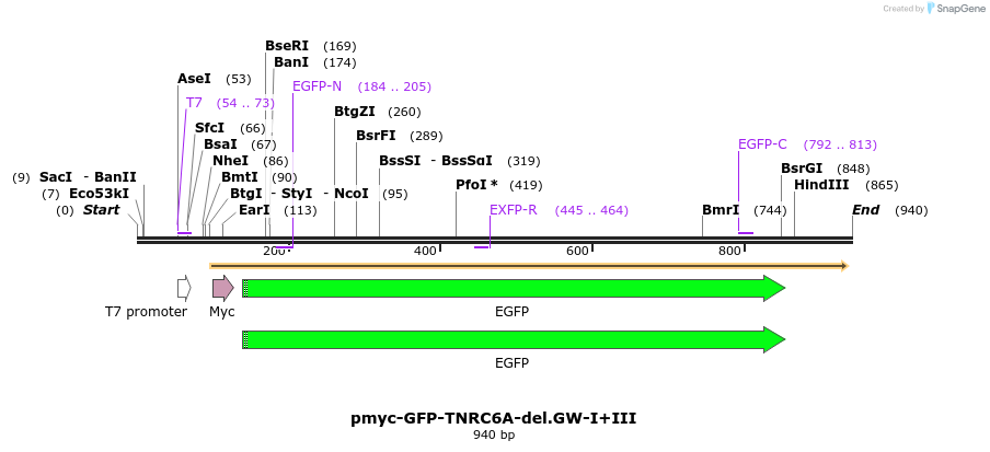 60040_map