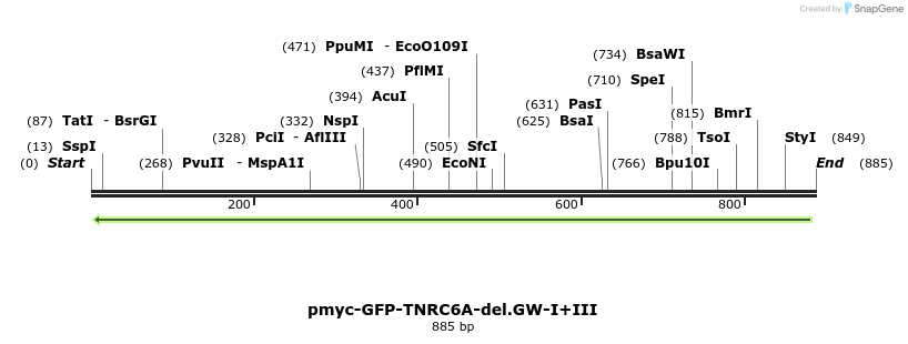 60041_map